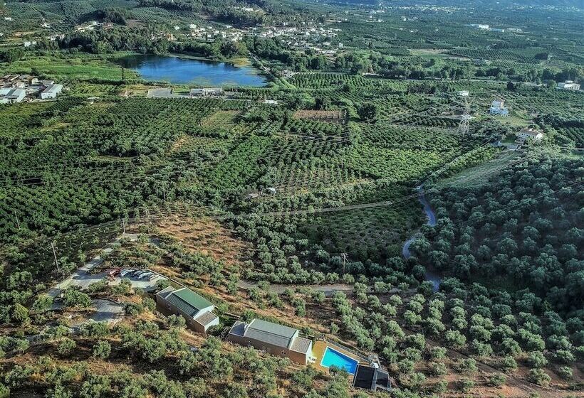 Aksos Suites Accessible Accommodation