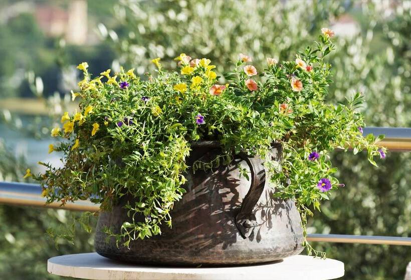 Aksos Suites Accessible Accommodation