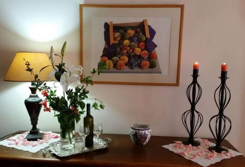 Отель Acropolis