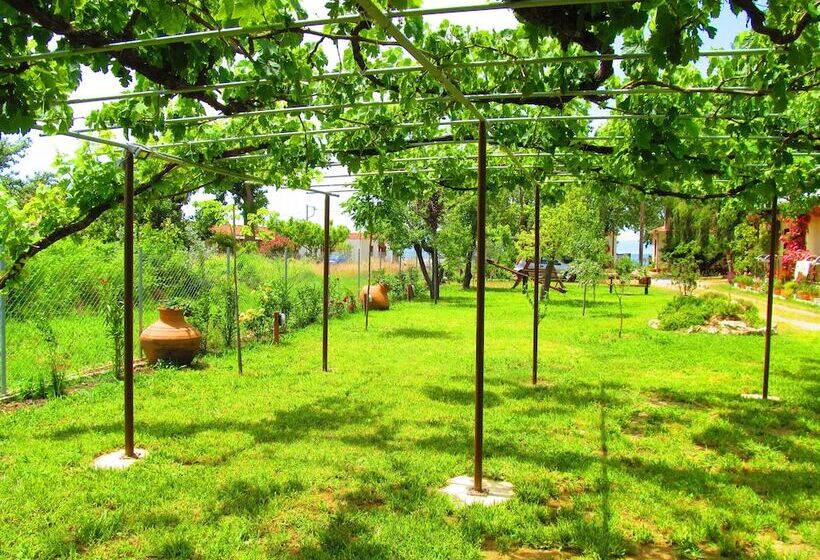 Hotel Pandora Studios