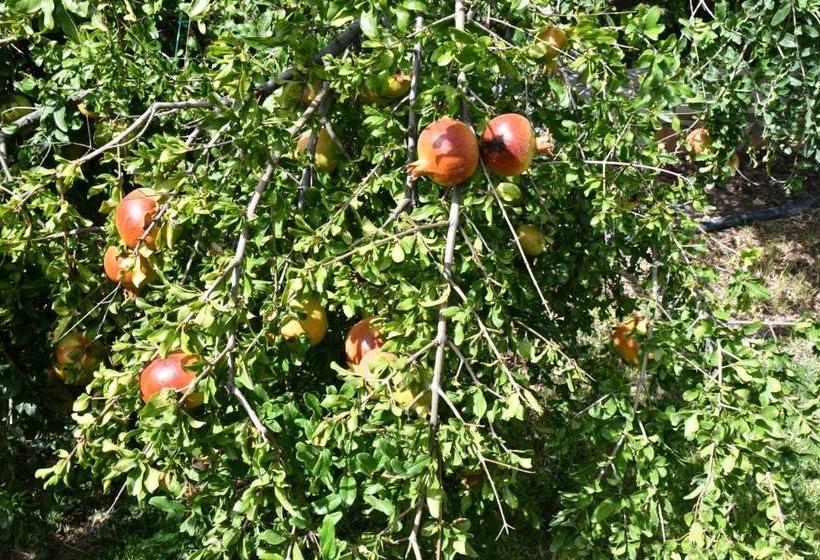 酒店 Petroto Villas