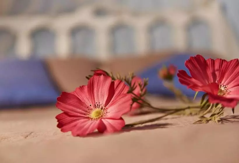 ホテル Greek House