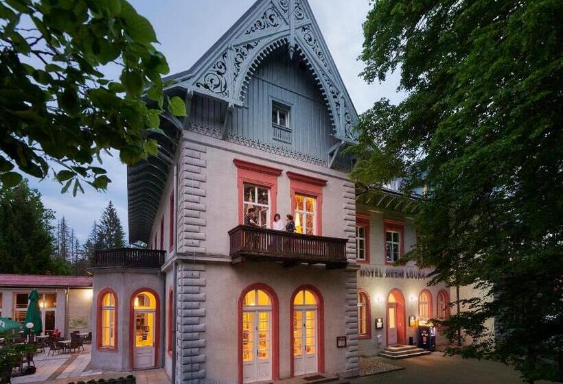 בית מלון כפרי Mezní Louka