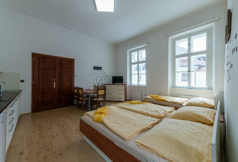 酒店 Vratislavsky Dum