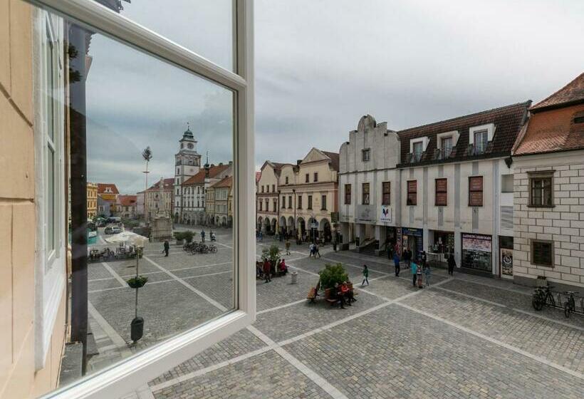 酒店 Vratislavsky Dum