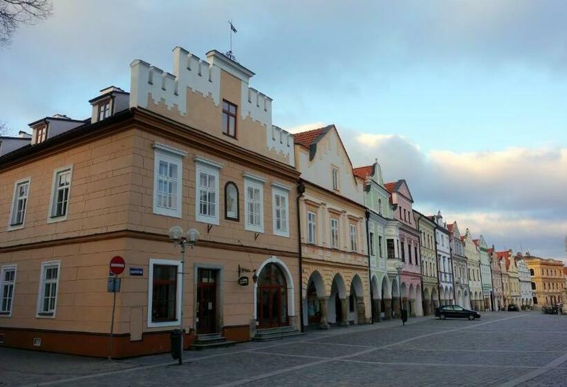 酒店 Vratislavsky Dum