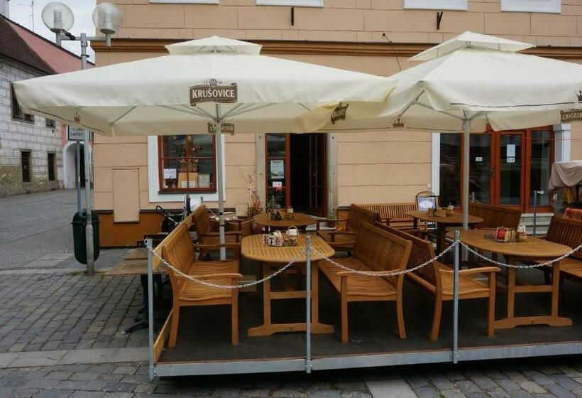 酒店 Vratislavsky Dum