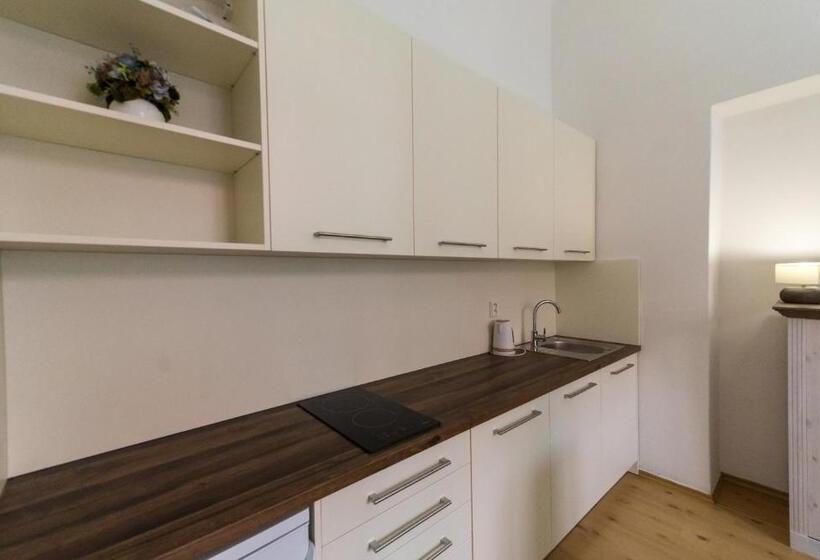 酒店 Vratislavsky Dum