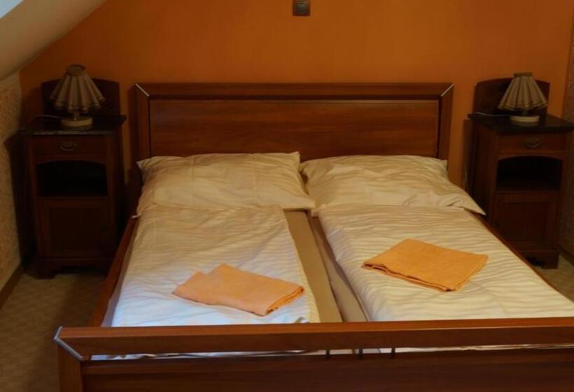 酒店 Vratislavsky Dum