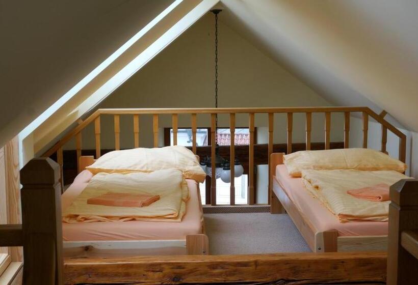 酒店 Vratislavsky Dum