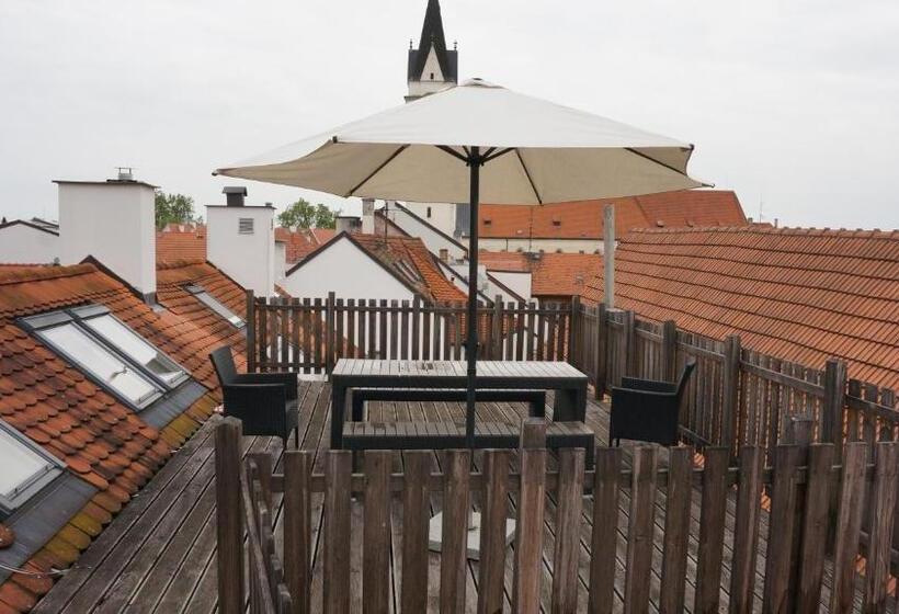 酒店 Vratislavsky Dum