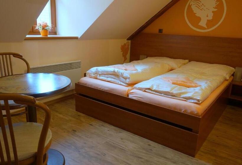 酒店 Vratislavsky Dum