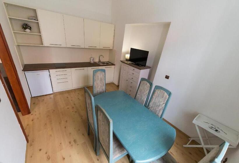 酒店 Vratislavsky Dum