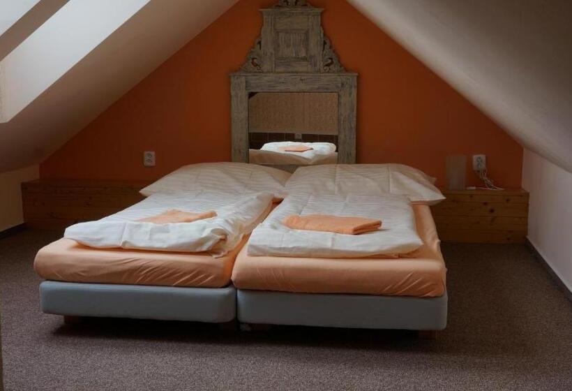 酒店 Vratislavsky Dum