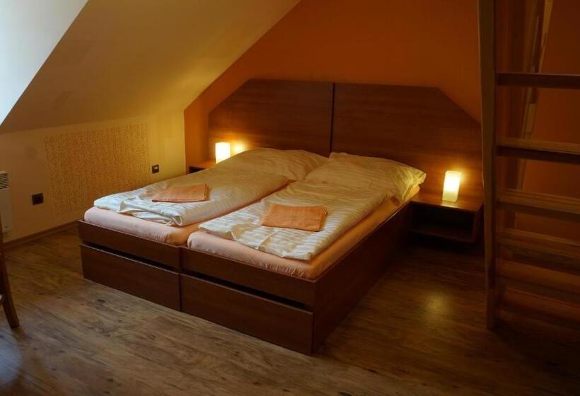 酒店 Vratislavsky Dum