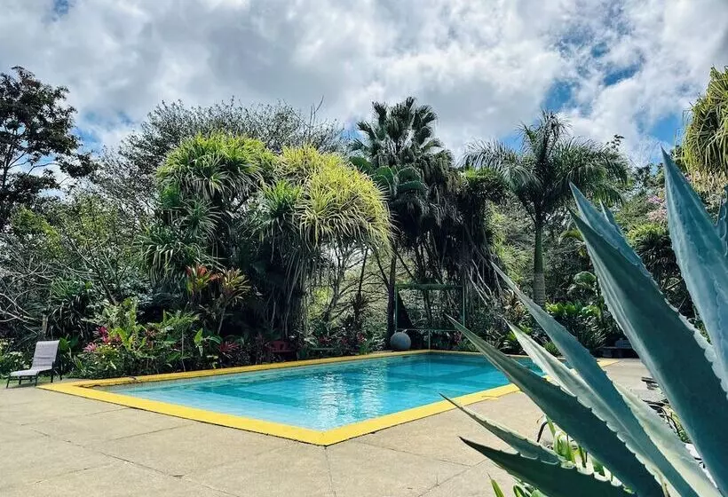 Hotelli Lake Arenal Jungle Resort & Brewery