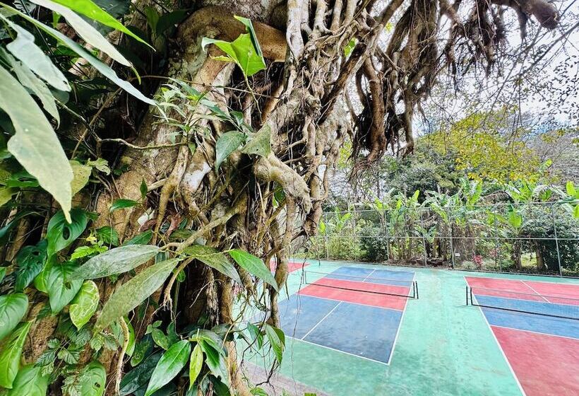 Hôtel Lake Arenal Jungle Resort & Brewery