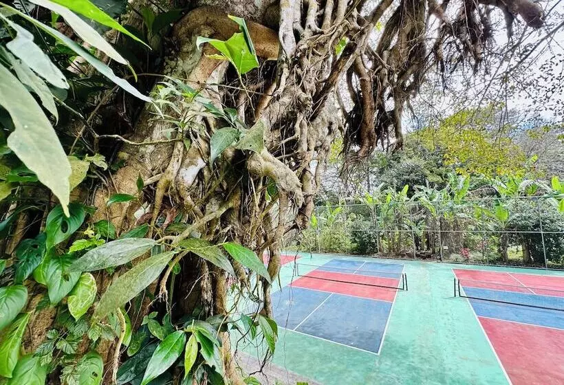 Hotelli Lake Arenal Jungle Resort & Brewery