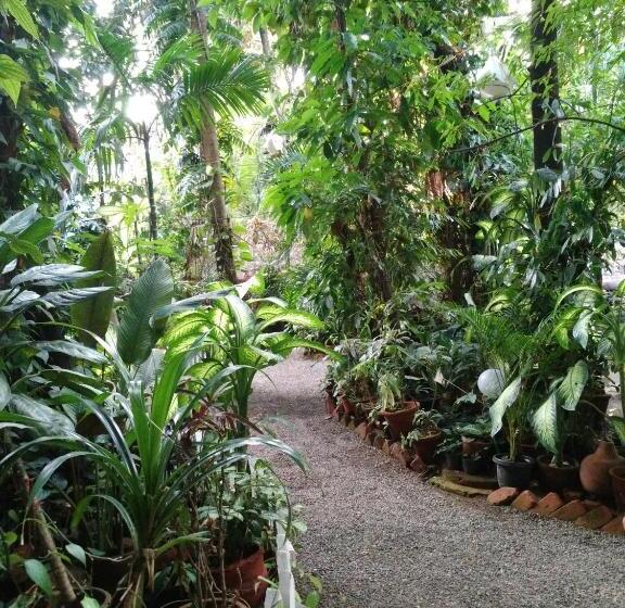 בית מלון כפרי Green Woods Bethlehem