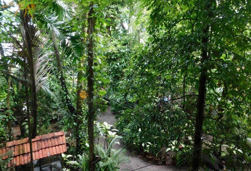 בית מלון כפרי Green Woods Bethlehem