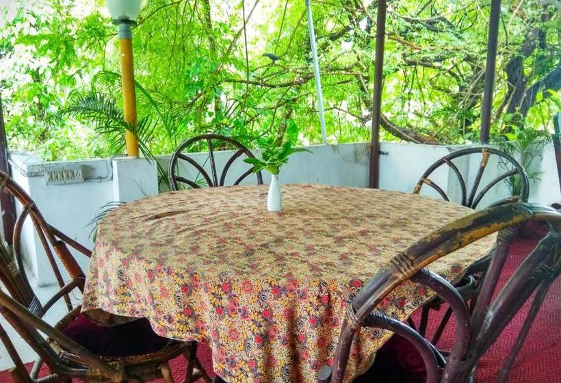 בית מלון כפרי Green Woods Bethlehem