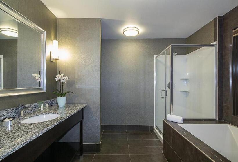 Holiday Inn Hotel & Suites Silicon Valley – Milpitas, An Ihg