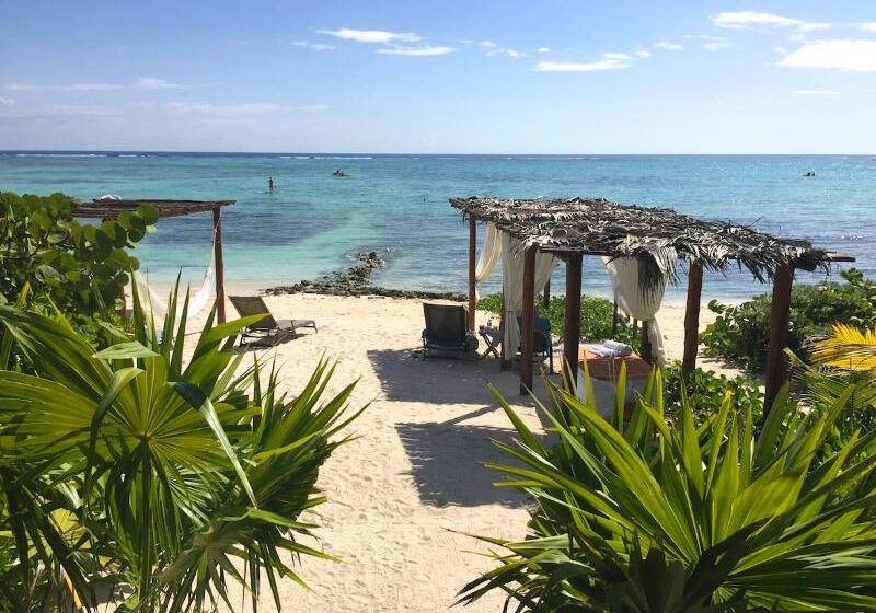 בית מלון כפרי Jashita