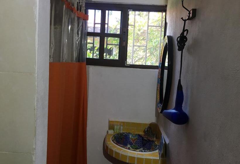 Fotos del hotel Mexicasa Cancun  Boutique:  5