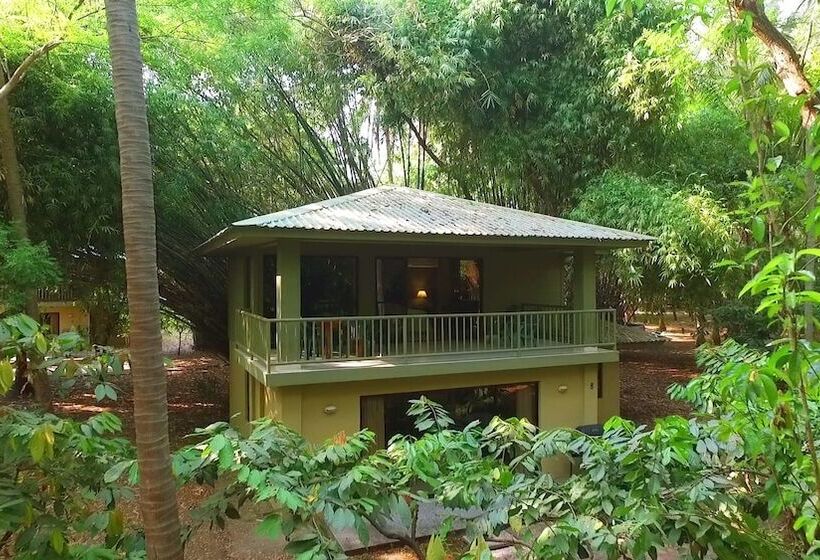 هتل Puerto Barillas