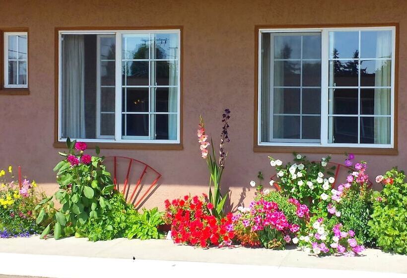 汽车旅馆  Uptown Inn