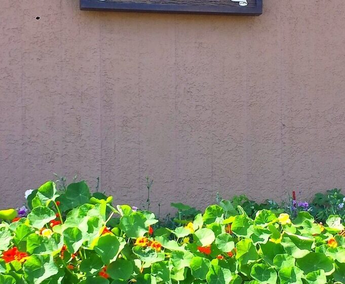 汽车旅馆  Uptown Inn