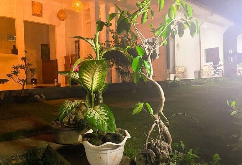 Bed and Breakfast The Hill View Lombok