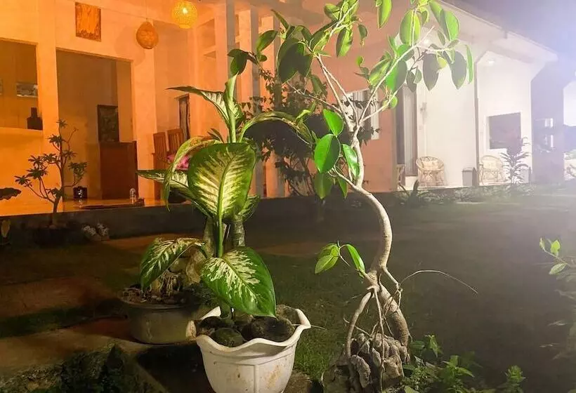 ベッドアンドブレックファースト The Hill View Lombok