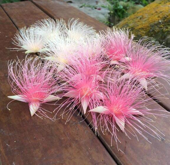 Dao Xiang Village B&b