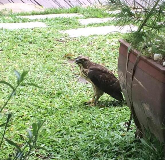 Dao Xiang Village B&b