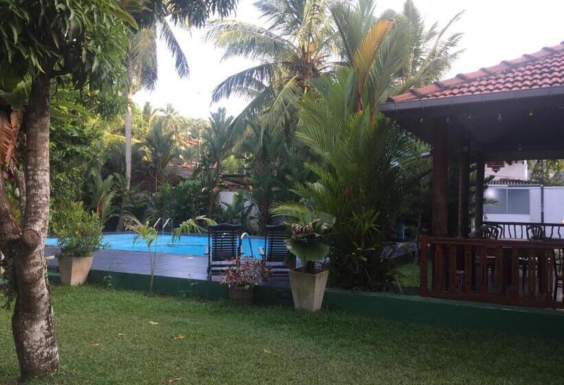 בית מלון כפרי Damith Guest House