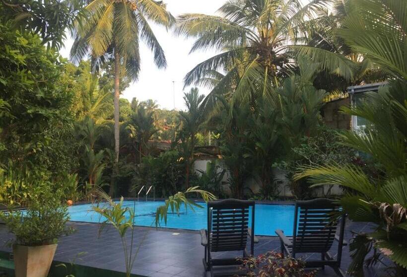 בית מלון כפרי Damith Guest House