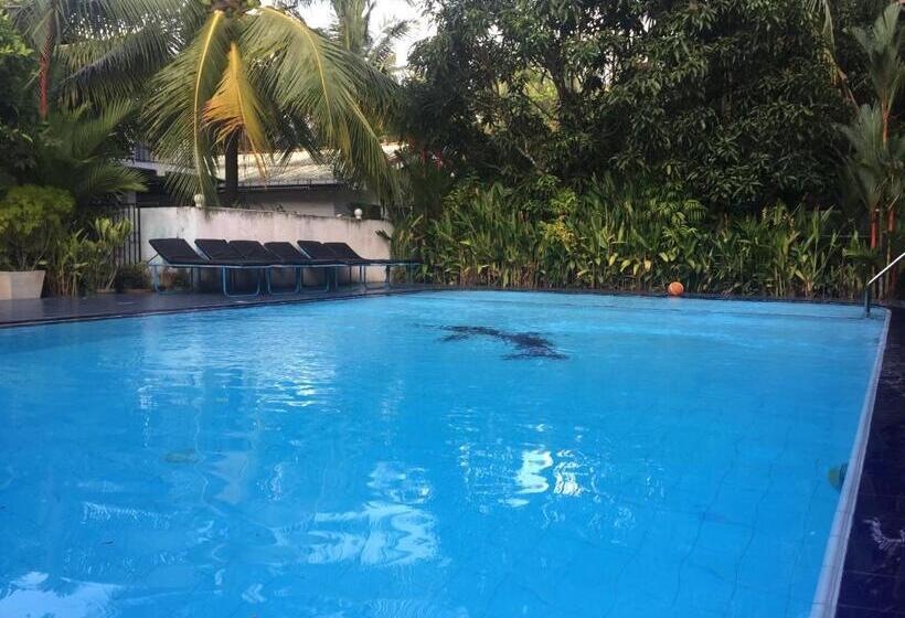 בית מלון כפרי Damith Guest House