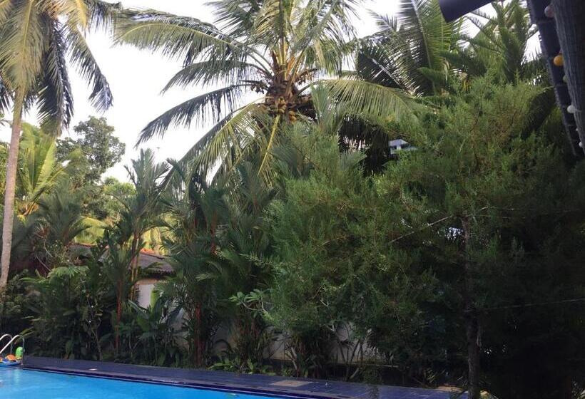 בית מלון כפרי Damith Guest House