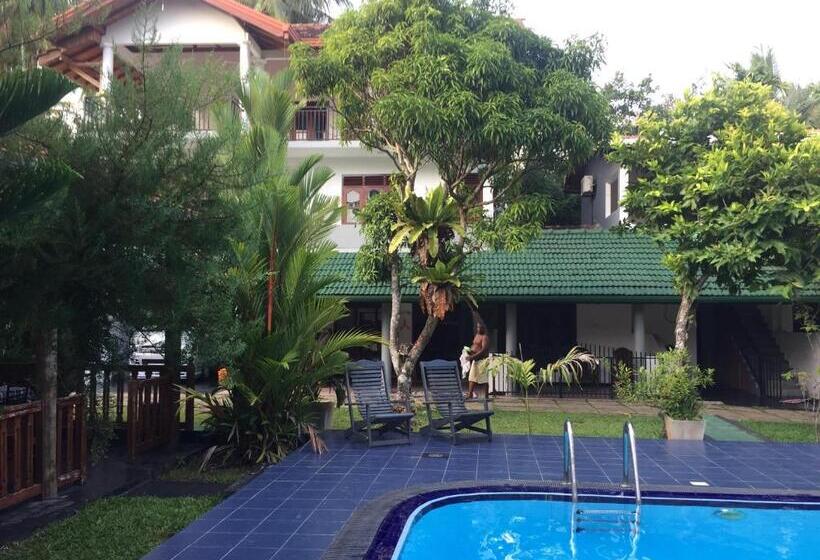 בית מלון כפרי Damith Guest House