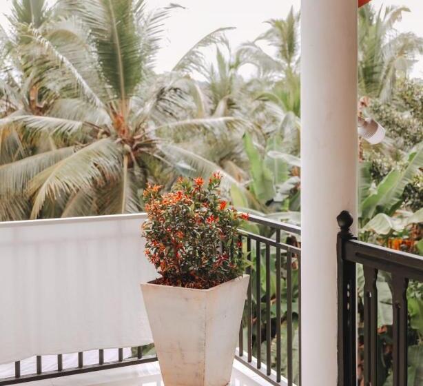 בית מלון כפרי Damith Guest House