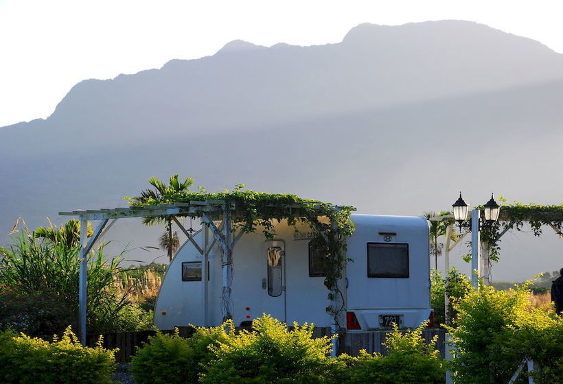 هتل Master Bear Resort