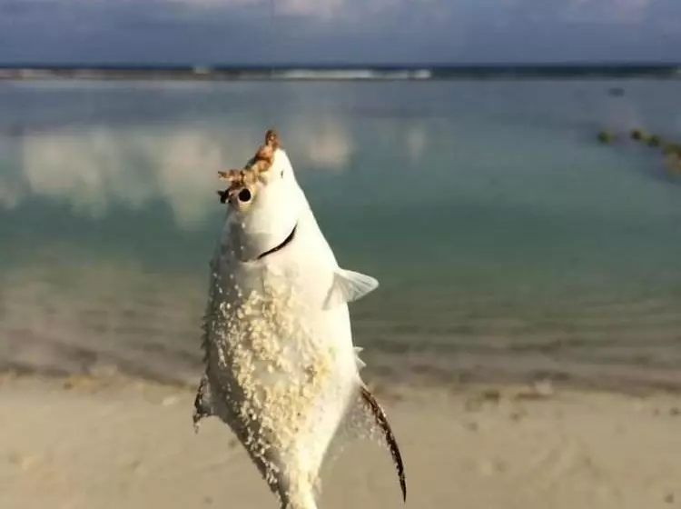 هتل Pine Lodge Maldives