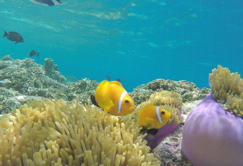 هتل Relax Beach Inn