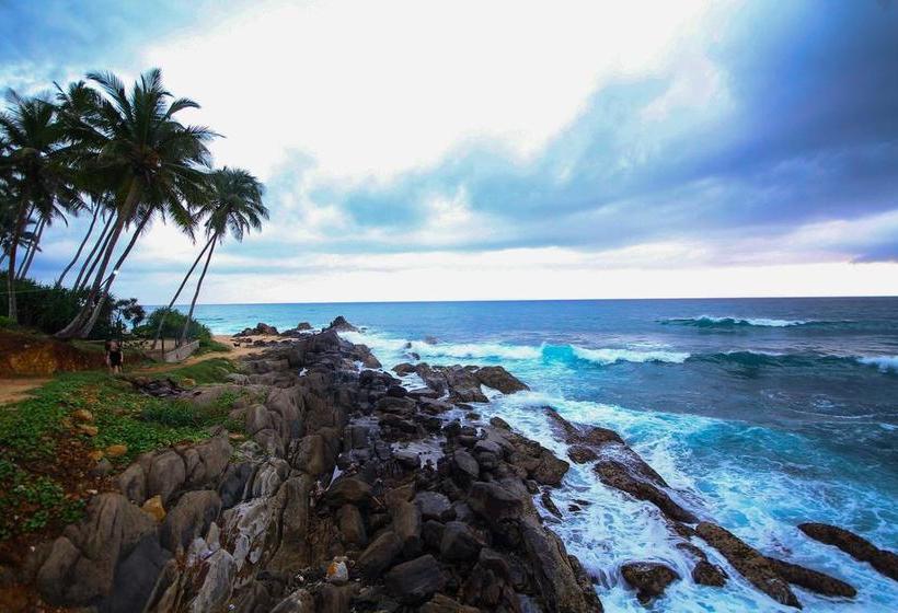 Отель Sevonra Garden