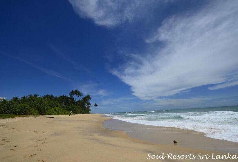 فندق Soul Resorts