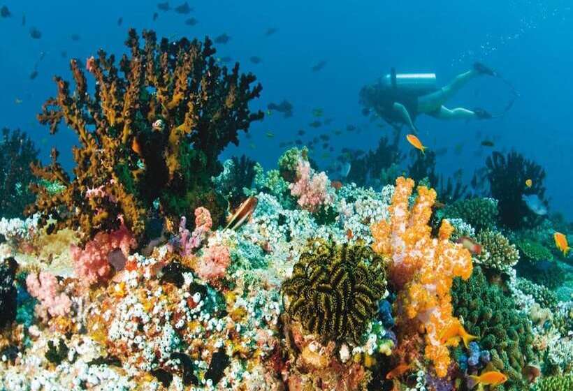 هتل Vista Beach Retreat