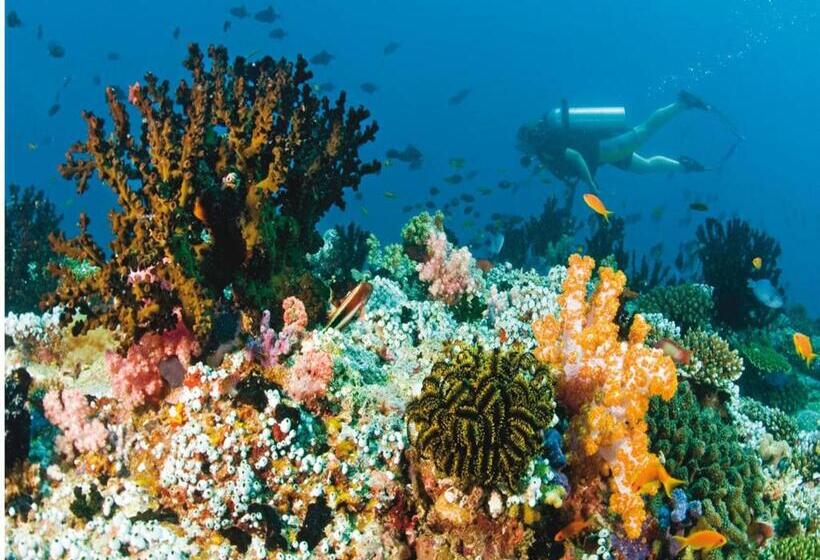 هتل Vista Beach Retreat