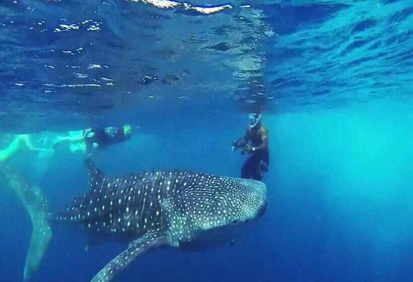 هتل Vista Beach Retreat