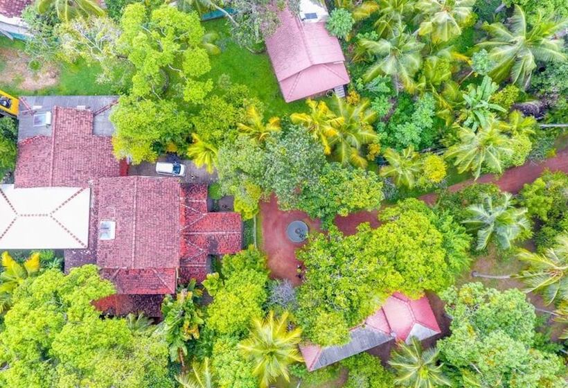 بنسيون Araliya Garden